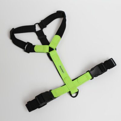 Шлея для собак Brave Heart Vega Lime, XXS | S | M