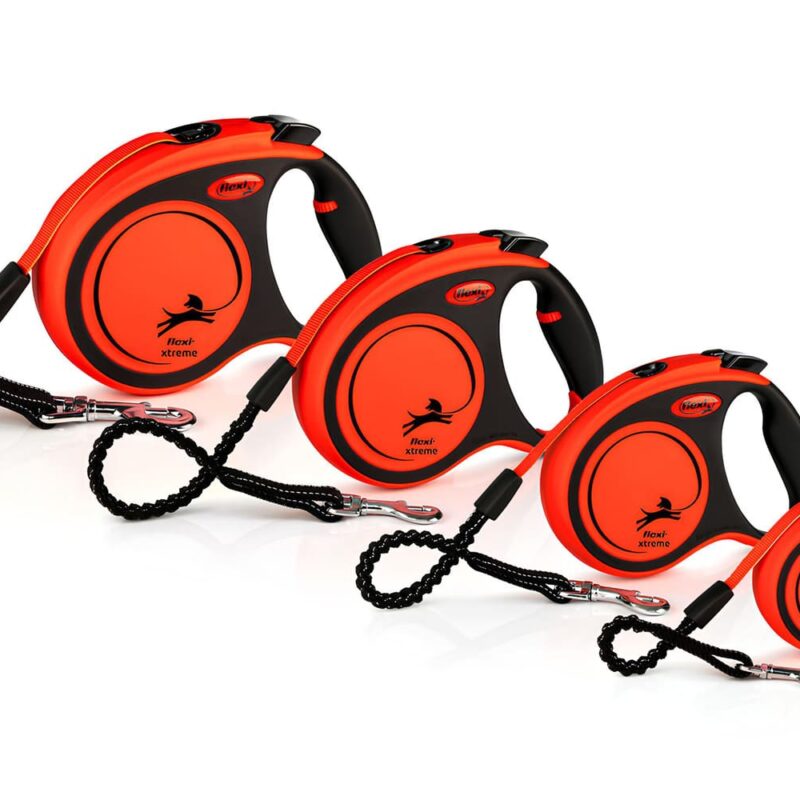 ustojchivaya-k-ukusam-ruletka-flexi-xtreme-dlya-bolshih-i-malenkih-sobak