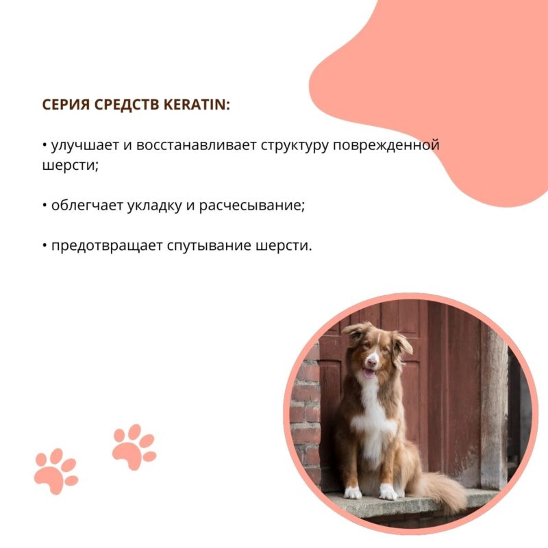 balzam-maska-doctor-vic-s-keratinom-i-provitaminom-v5-dlya-sobak-rekomendacii