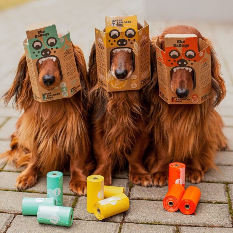 biorazlagaemye-pakety-3-rulona-myata-explorer-dog-igra