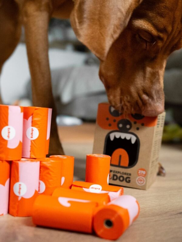 biorazlagaemye-pakety-3-rulona-oranzhevye-explorer-dog-mnogo