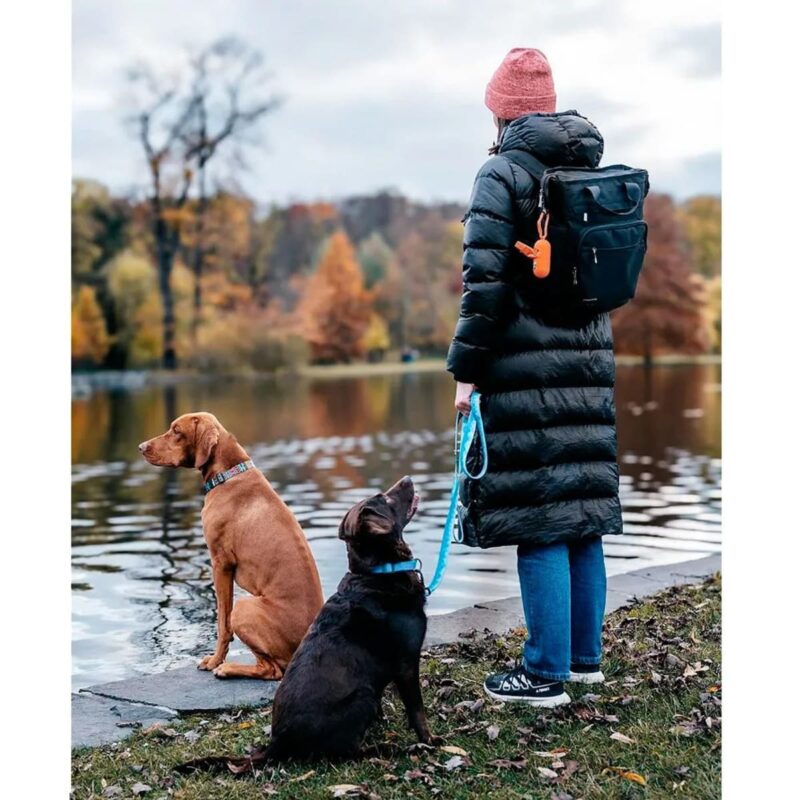 biorazlagaemye-pakety-3-rulona-oranzhevye-explorer-dog-sobaka-gulyat