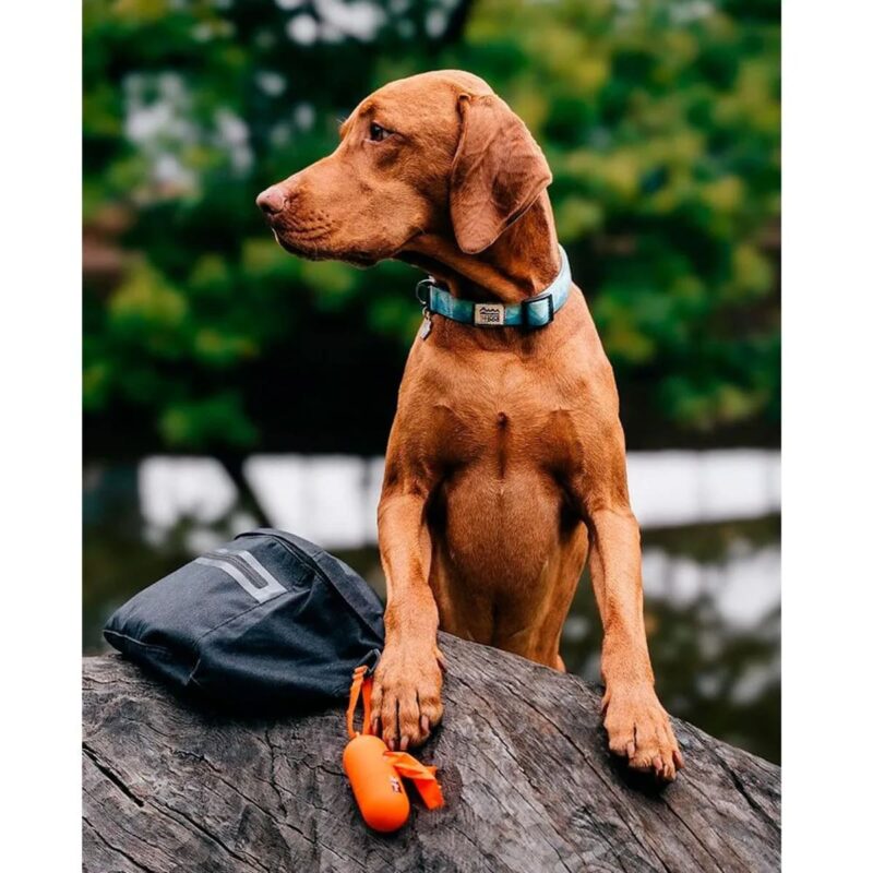 biorazlagaemye-pakety-3-rulona-oranzhevye-explorer-dog-ulica-sobaka