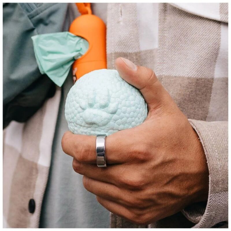 biorazlagaemye-pakety-s-aromatom-myaty-3-rulona-golubye-explorer-dog-sobaka-gulyat