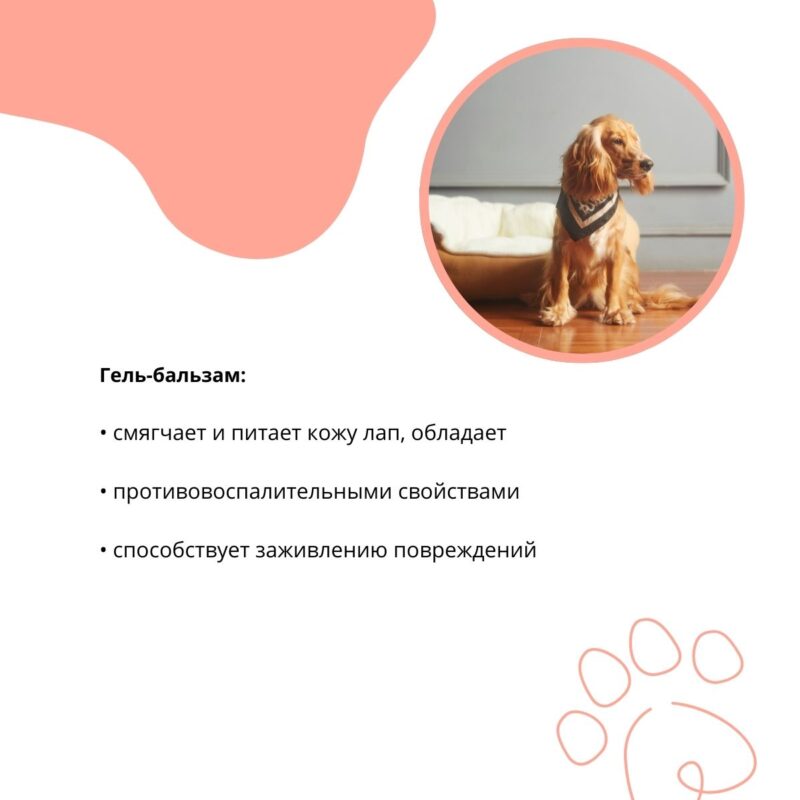 gel-balzam-doctor-vic-dlya-lap-i-kogtej-sobak-opisanie