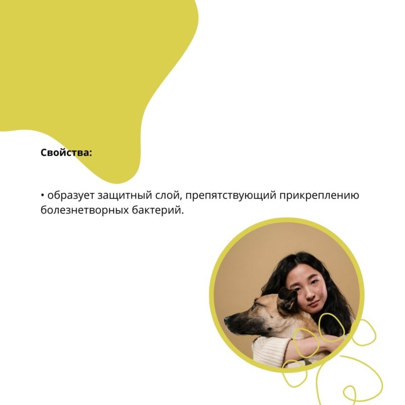 loson-podsushivayushchij-doctor-vic-dlya-ushej-sobak-svojstva-2