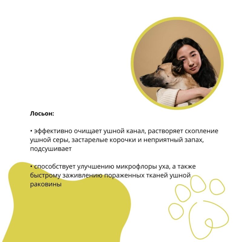 loson-podsushivayushchij-doctor-vic-dlya-ushej-sobak-svojstva