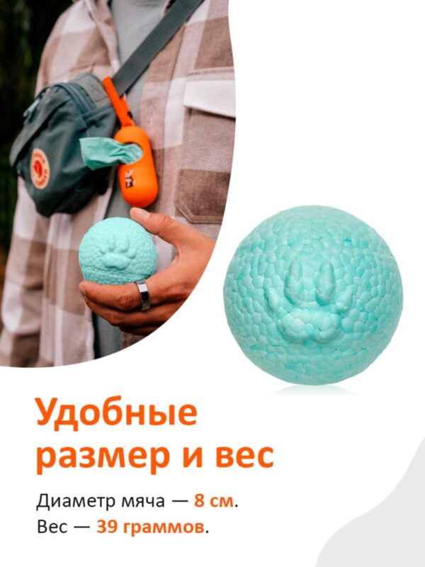 myach-dlya-sobak-explorer-dog-8-sm-goluboj-detali