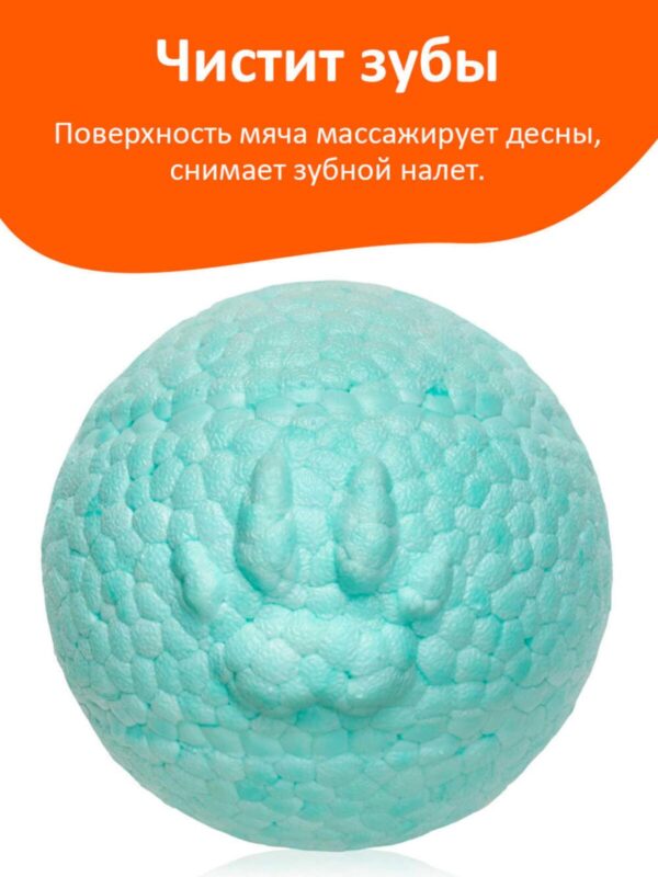 myach-dlya-sobak-explorer-dog-8-sm-goluboj-krupno