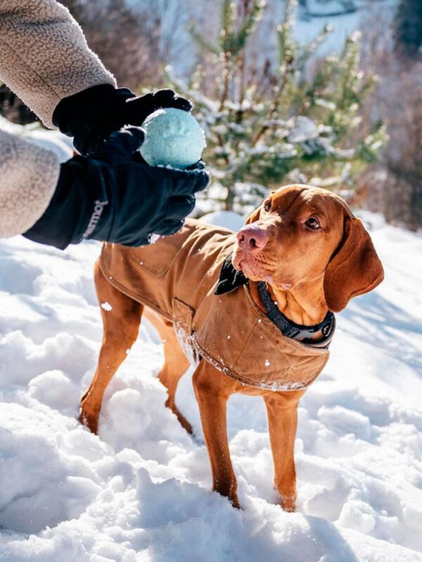 myach-dlya-sobak-explorer-dog-8-sm-goluboj-sobaka