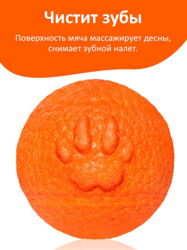 myach-dlya-sobak-explorer-dog-8-sm-oranzhevyj-chistit-zuby
