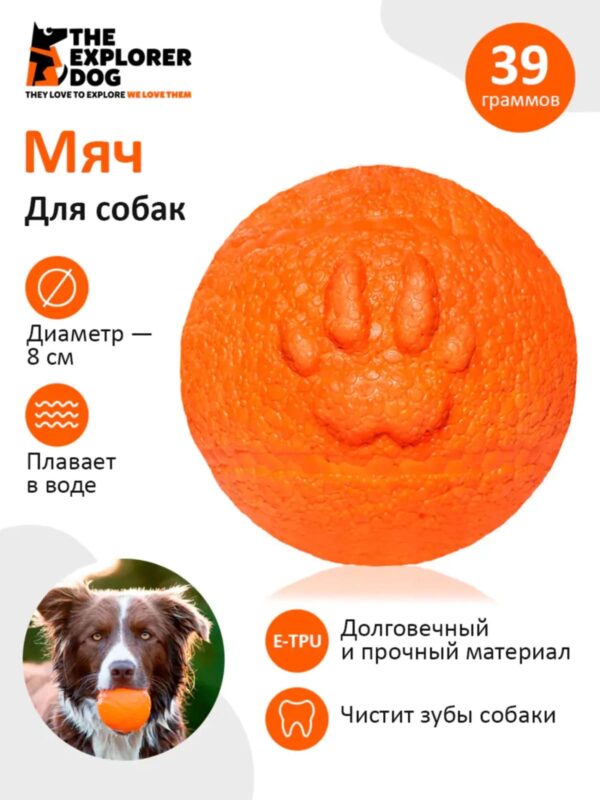myach-dlya-sobak-explorer-dog-8-sm-oranzhevyj-kachestva