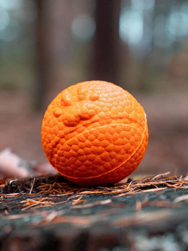 myach-dlya-sobak-explorer-dog-8-sm-oranzhevyj-krupno