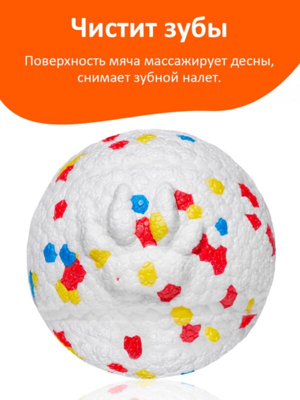 myach-dlya-sobak-explorer-dog-8-sm-v-goroshek-sobaka-chistit-zuby