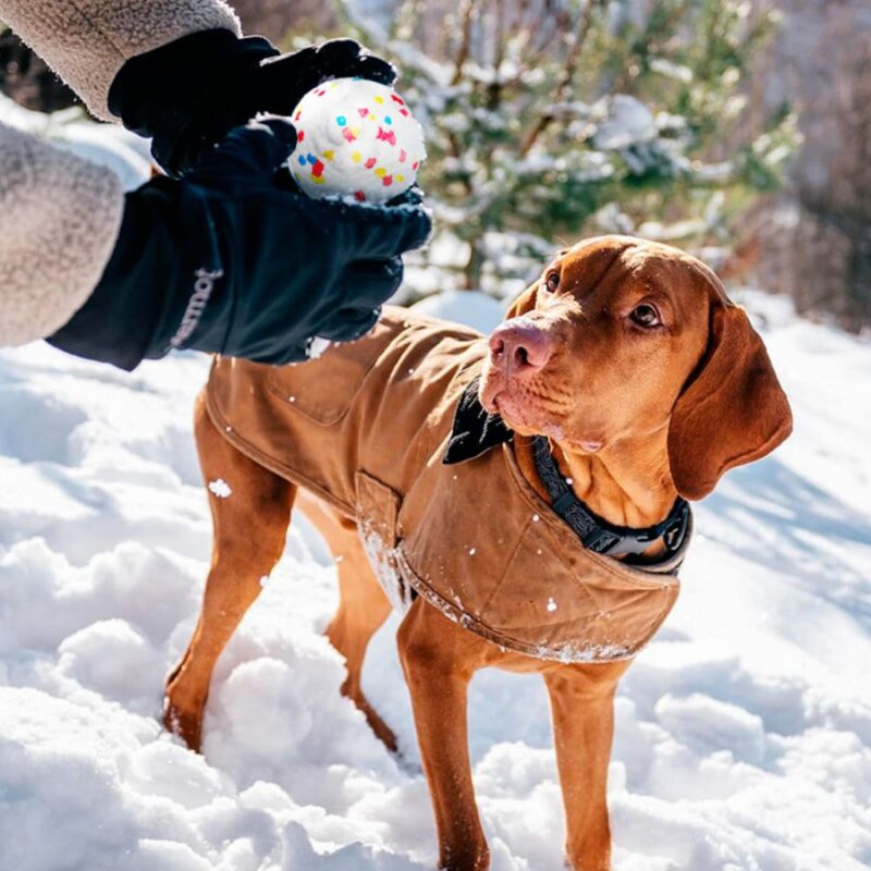 myach-dlya-sobak-explorer-dog-8-sm-v-goroshek-sobaka-igra