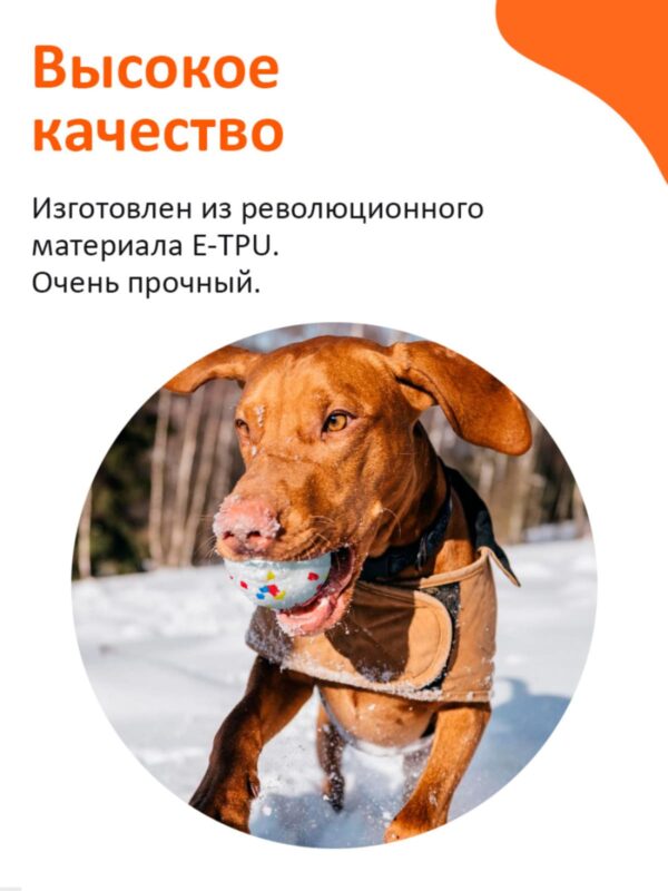 myach-dlya-sobak-explorer-dog-8-sm-v-goroshek-sobaka-kachestva
