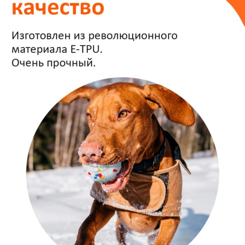 myach-dlya-sobak-explorer-dog-8-sm-v-goroshek-sobaka-kachestva