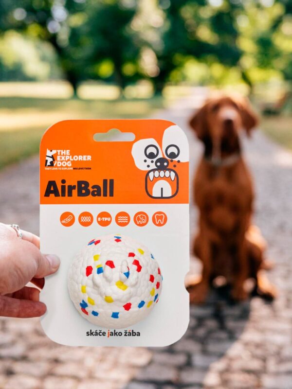 myach-dlya-sobak-explorer-dog-8-sm-v-goroshek-sobaka-ulica