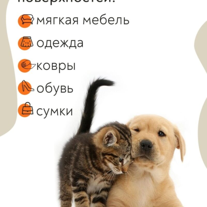 nejtralizator-zapaha-zhivotnyh-muzzle-detali-krupno