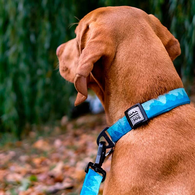 Поводок Горы, 170 см EXPLORER DOG 5 Поводок Горы, 170 см EXPLORER DOG — изображение 2