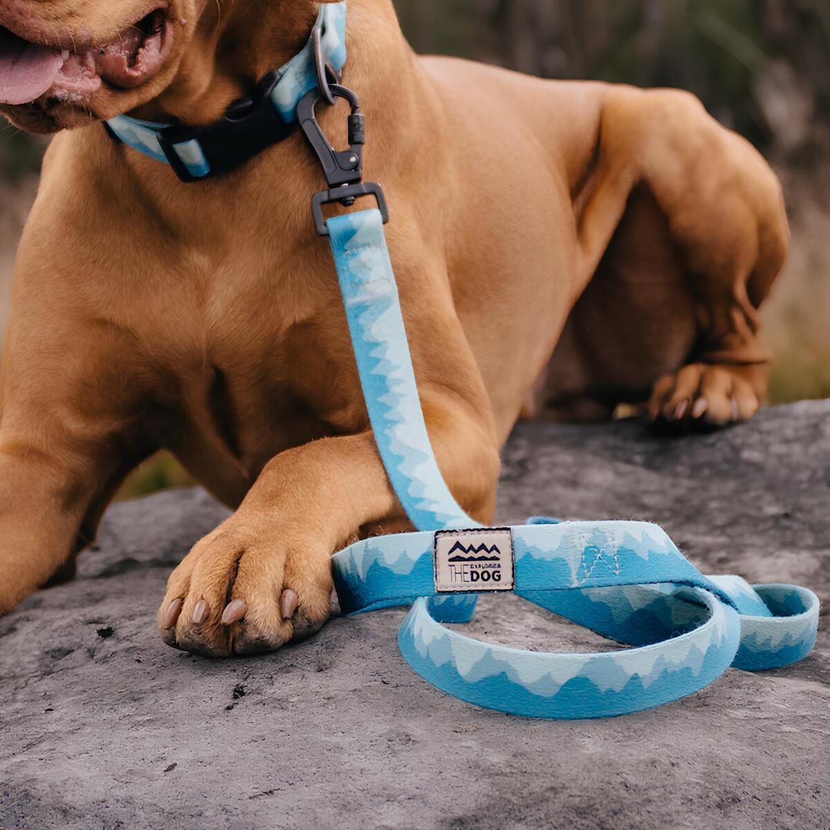 Поводок Горы, 170 см EXPLORER DOG 6 Поводок Горы, 170 см EXPLORER DOG — изображение 3