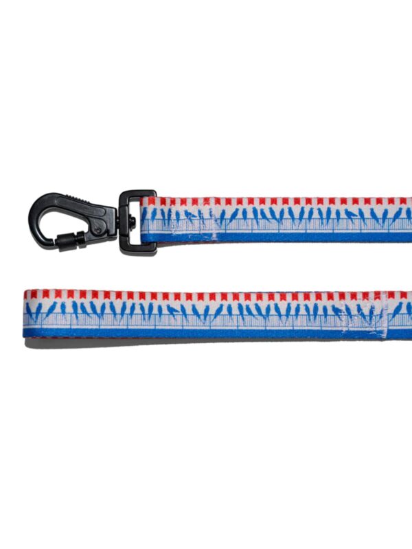 povodok-pticy-170-sm-explorer-dog-krupno