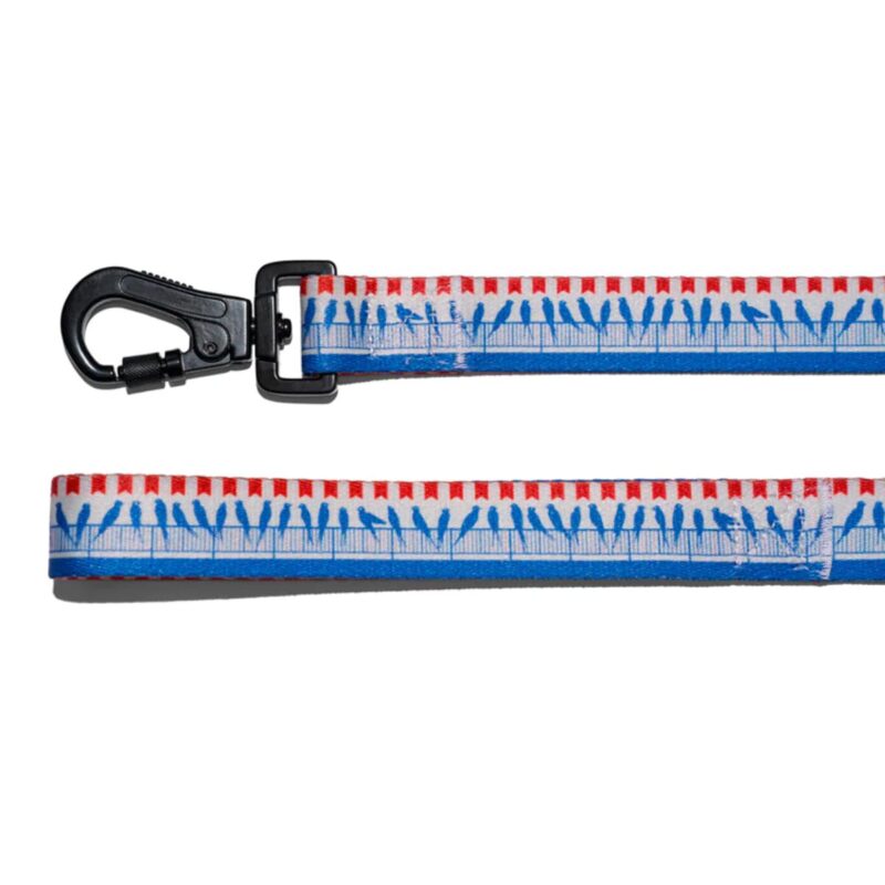 povodok-pticy-170-sm-explorer-dog-krupno