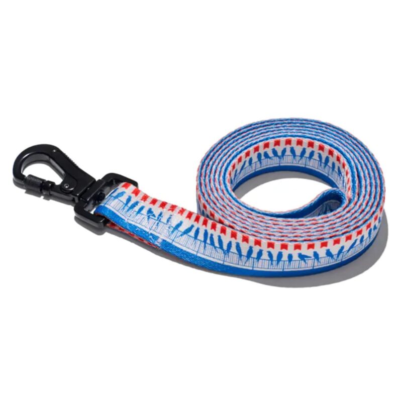 Поводок Птицы, 170 см EXPLORER DOG