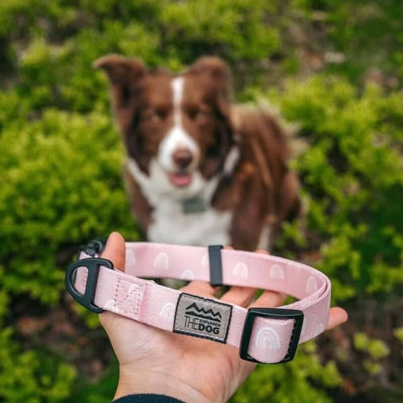povodok-raduga-170-sm-explorer-dog-ulica