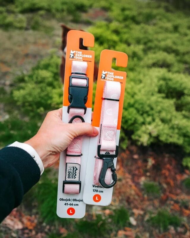 povodok-raduga-170-sm-explorer-dog-ulica-sobaka