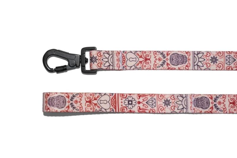 povodok-serdce-170-sm-explorer-dog-krupno