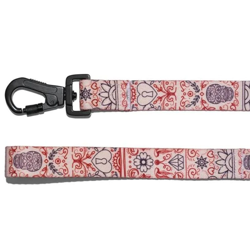 povodok-serdce-170-sm-explorer-dog-krupno