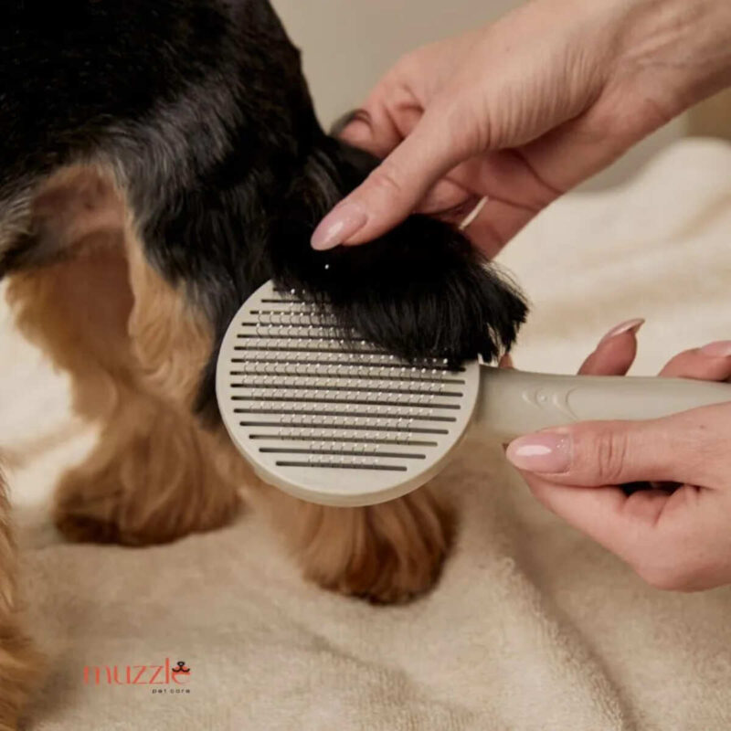 rascheska-dlya-shersti-s-knopkoj-bystroj-ochistki-muzzle-rascheska-hvostik