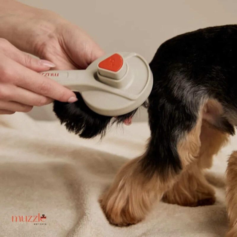 rascheska-dlya-shersti-s-knopkoj-bystroj-ochistki-muzzle-sobaka-hvostik