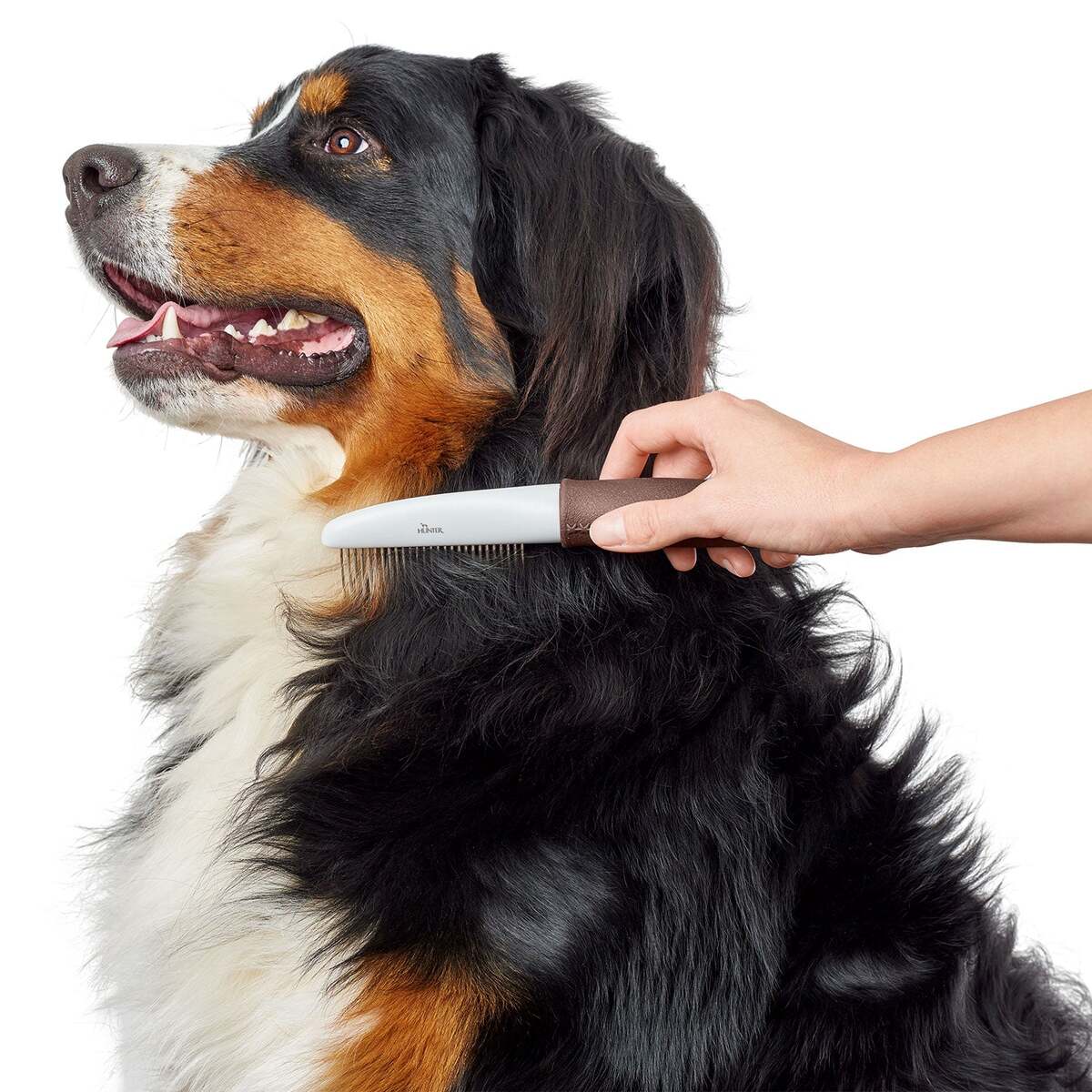 Расческа для собак Comb with rotating pins Spa, Hunter 7 Расческа для собак Comb with rotating pins Spa, Hunter — изображение 3