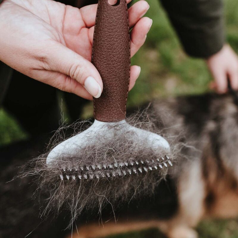 rascheska-grabli-dlya-sobak-currycomb-disentangle-spa-hunter