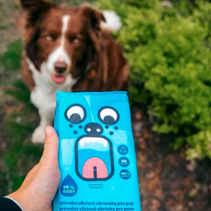 Салфетки влажные, биоразлагаемые EXPLORER DOG, 40 шт/уп. 5 Салфетки влажные, биоразлагаемые EXPLORER DOG, 40 шт/уп. — изображение 2