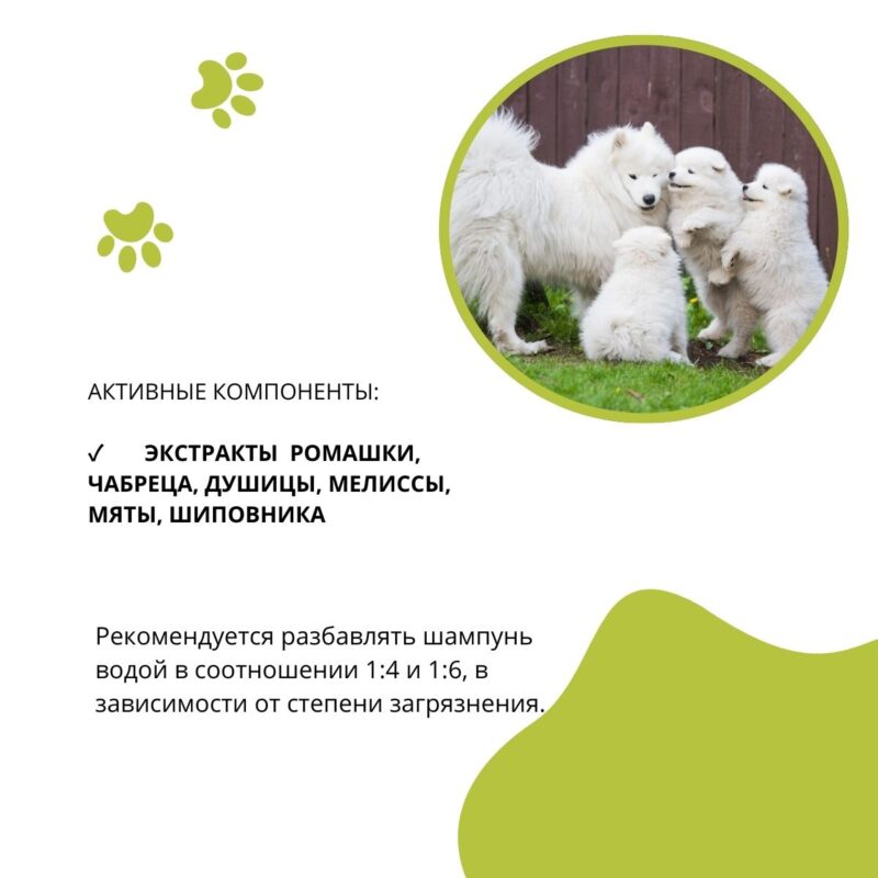 shampun-doctor-vic-5-trav-dlya-shchenkov-rekomendacii