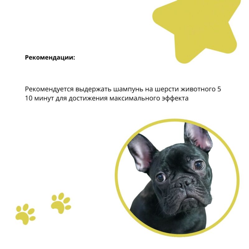 shampun-doctor-vic-dlya-chernoj-shersti-sobak-rekomendacii