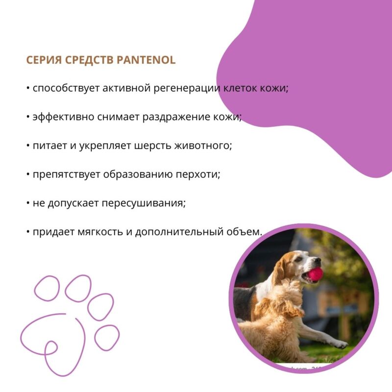 shampun-doctor-vic-s-pantenolom-dlya-sobak-lipovyj-cvet-opisanie