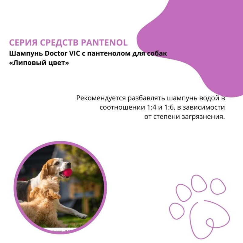 shampun-doctor-vic-s-pantenolom-dlya-sobak-lipovyj-cvet-rekmendacii (2)