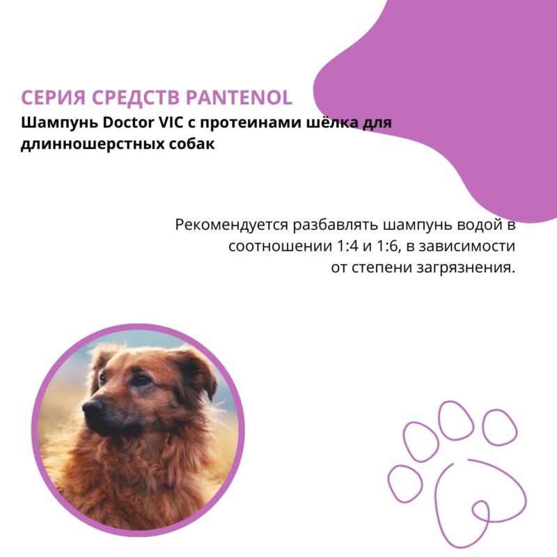 shampun-doctor-vic-s-pantenolom-dlya-sobak-vanil-rekomendacii