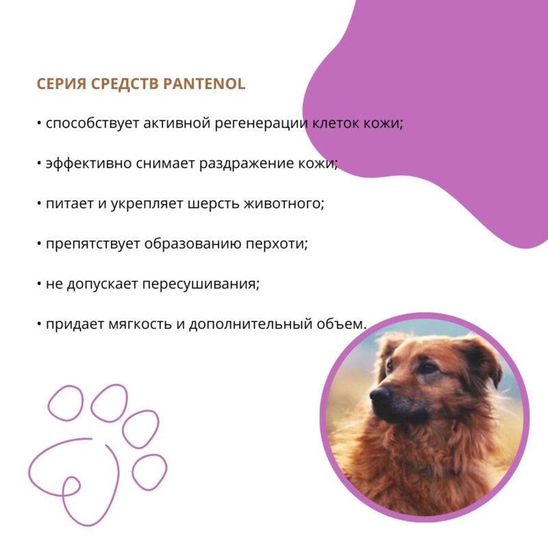 shampun-doctor-vic-s-pantenolom-dlya-sobak-vanil-svojstva