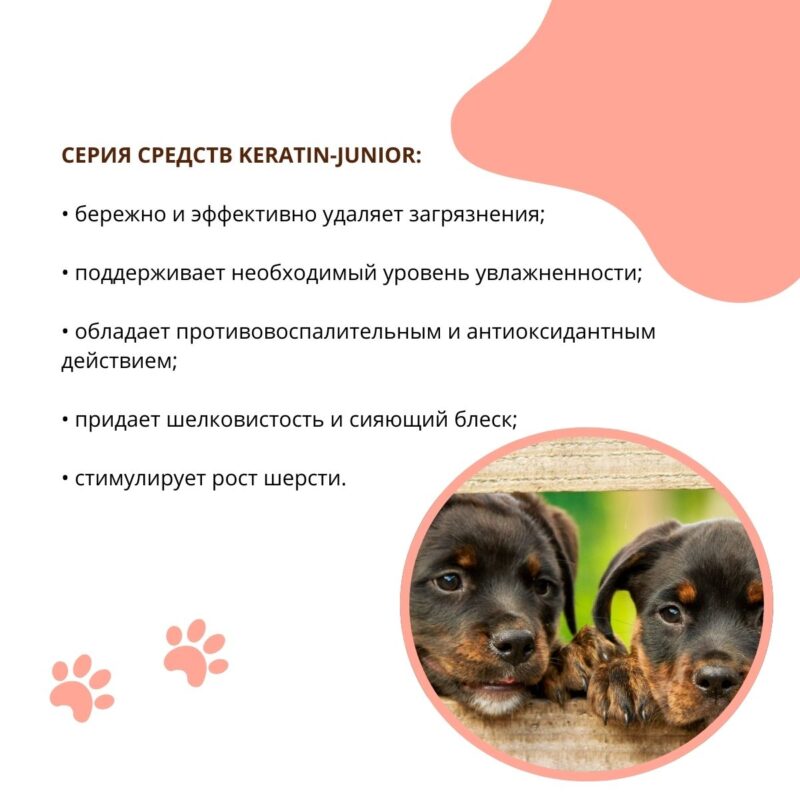 shampun-kondicioner-doctor-vic-s-keratinom-i-provitaminom-b5-dlya-shchenkov-rekomendacii