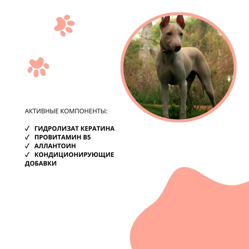 shampun-kondicioner-doctor-vic-s-keratinom-i-provitaminom-v5-dlya-bessherstnyh-porod-sobak-dobavki