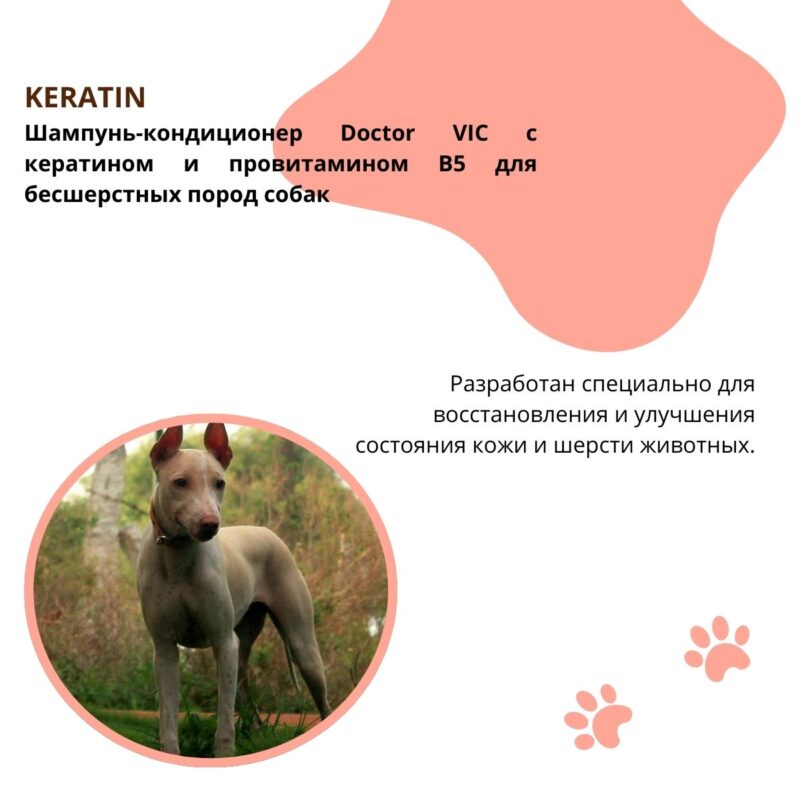 shampun-kondicioner-doctor-vic-s-keratinom-i-provitaminom-v5-dlya-bessherstnyh-porod-sobak-opisanie