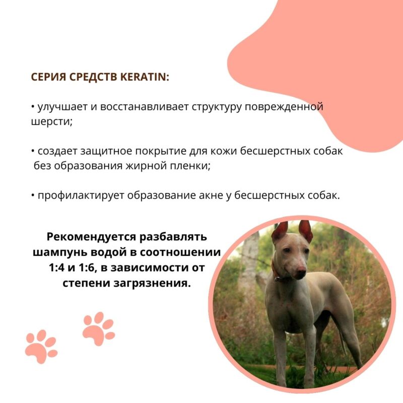 shampun-kondicioner-doctor-vic-s-keratinom-i-provitaminom-v5-dlya-bessherstnyh-porod-sobak-sovety