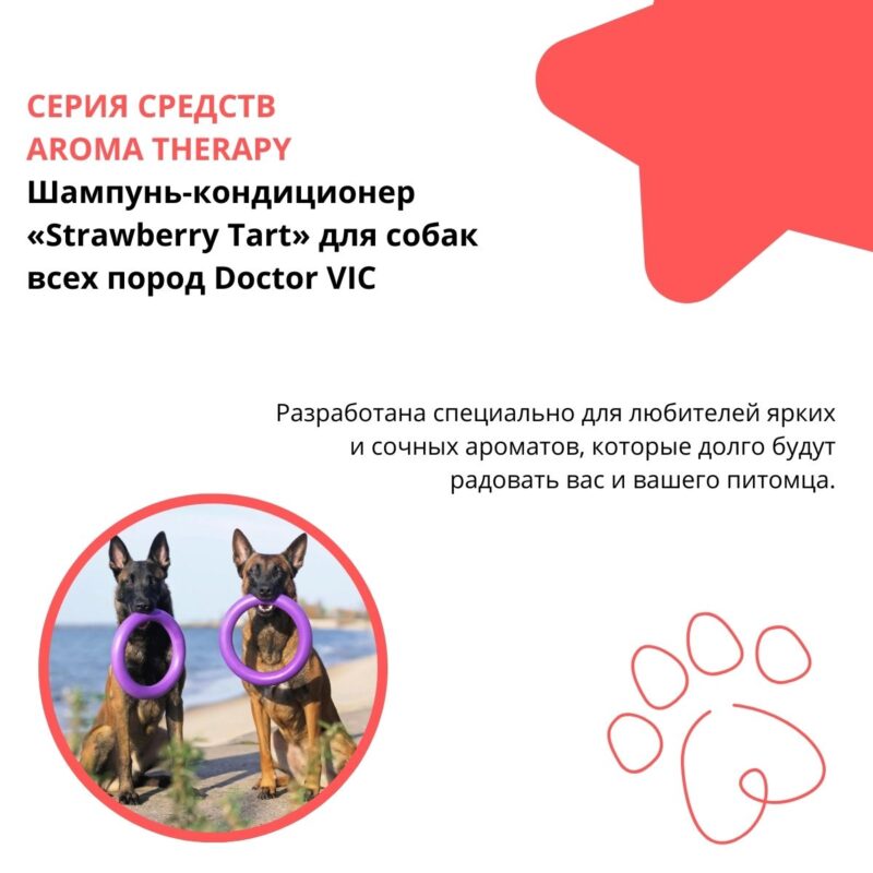 shampun-kondicioner-strawberry-tart-dlya-sobak-vsekh-porod-doctor-vic-opisanie