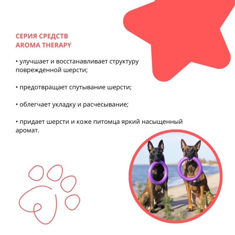 shampun-kondicioner-strawberry-tart-dlya-sobak-vsekh-porod-doctor-vic-svojstva