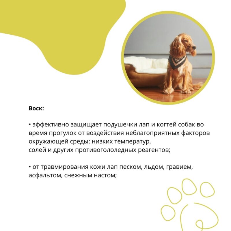 vosk-zashchitnyj-doctor-vic-dlya-lap-i-kogtej-sobak-svojstva-2